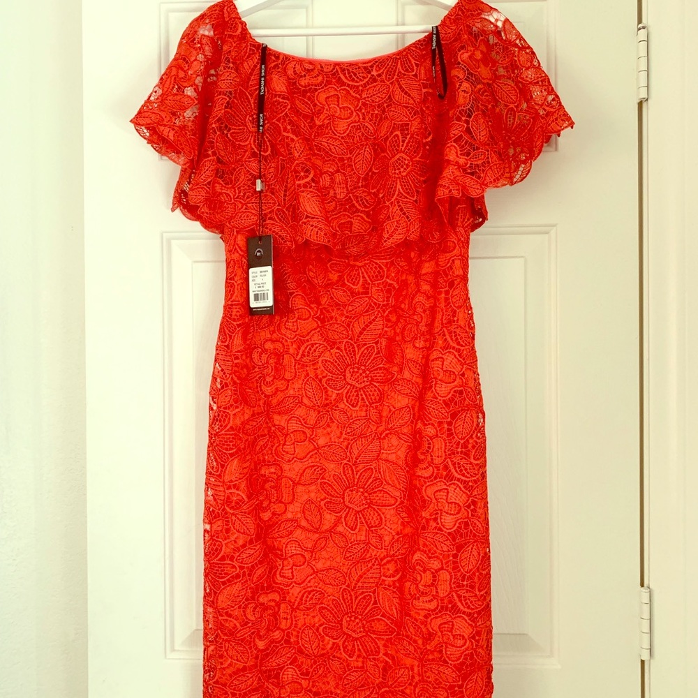 Tadashi Shoji dress *BRAND NEW* size 4 with tags - Picture 1 of 5